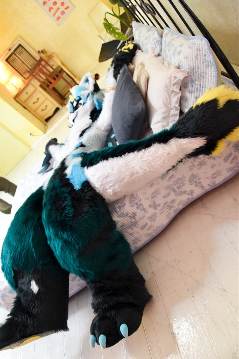 あれ？イノアくんだけ表示されてない？
再掲