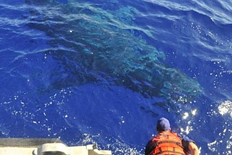 WetTribe's tweet image. A humpback whale was successfully freed from a life-threatening entanglement of rope, gear, and buoys by a trained team on Tuesday in waters off Keahole Point. Unfortunately, it was not Palette (BCY1404). The search continues.  #WetTribe #TidetotheOcean #FridayFieldUpdate #Hawaii
