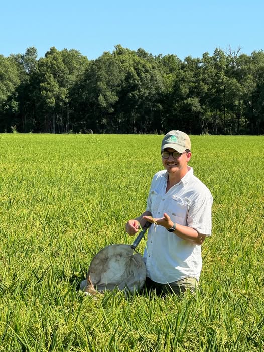 LSU AgCenter tweet media