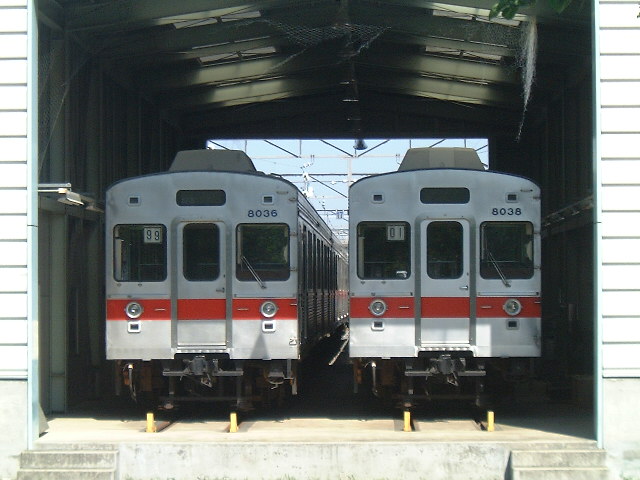 なんかかわいく並んで見える8036-8038