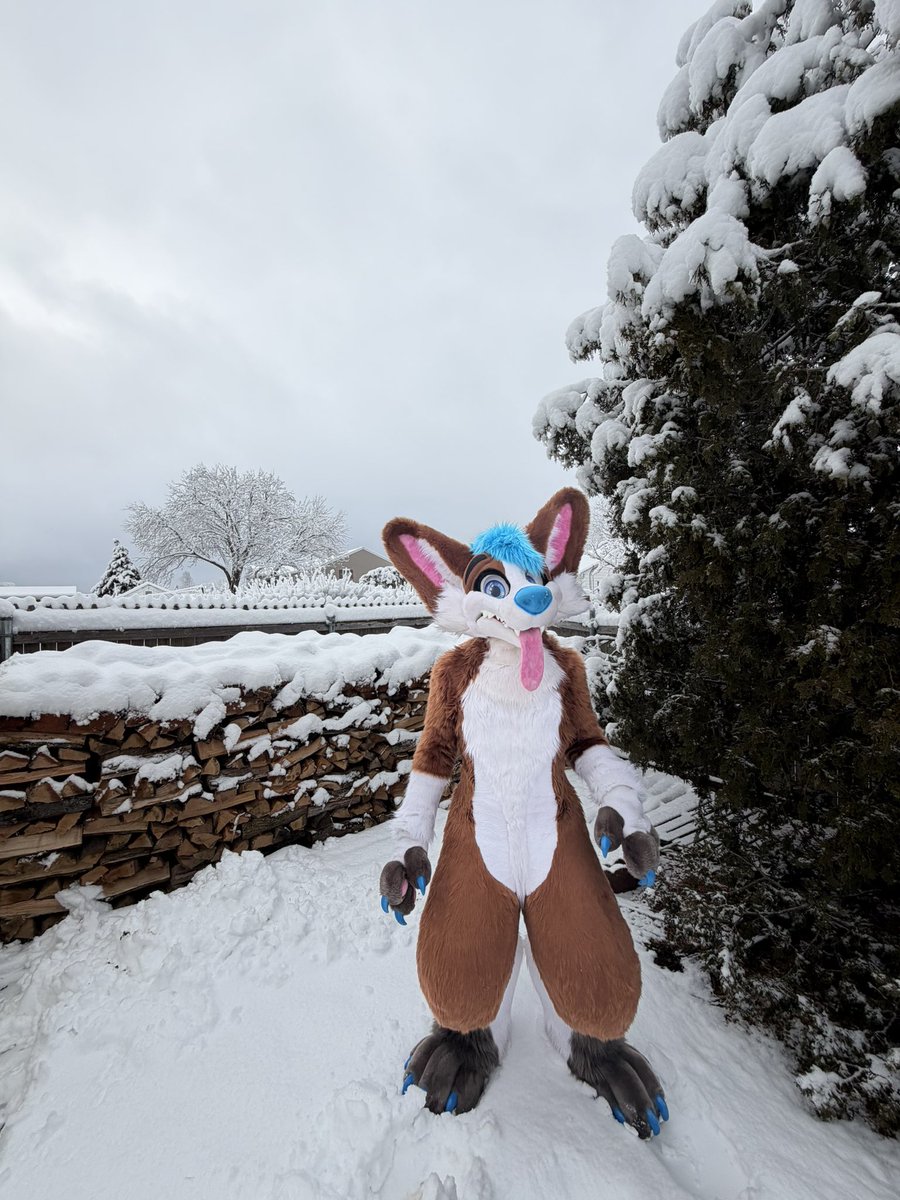 just a dog doing dog things :3

🪡: <a href="/MoreFurLess/">More Fur Less</a>