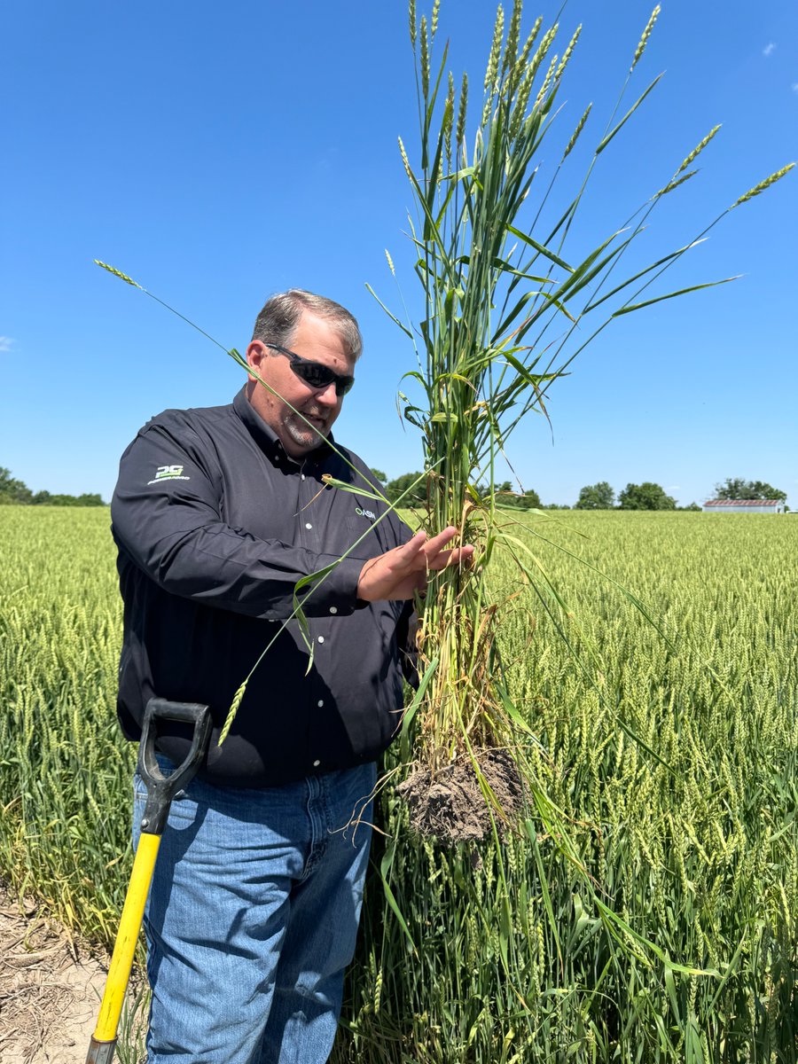 Ag Solutions Network tweet media