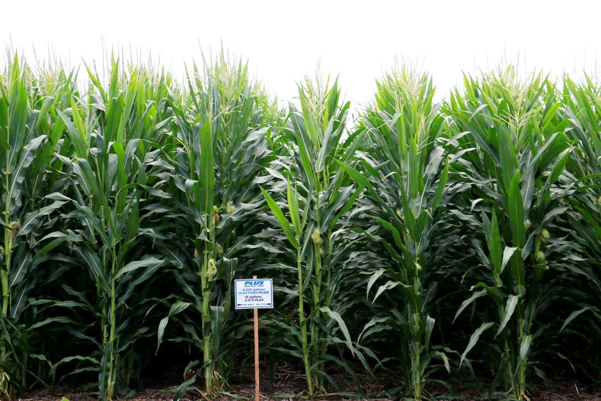 Ag Solutions Network tweet media