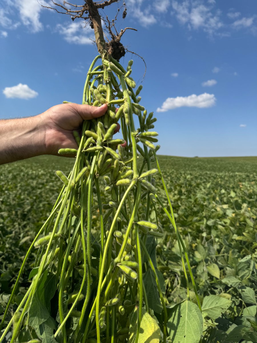 Ag Solutions Network tweet media