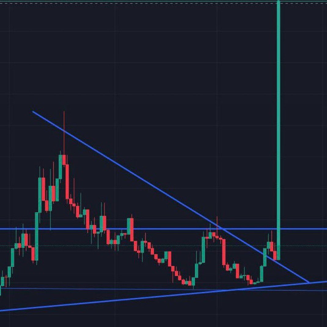 cryptofergani's tweet image. What’s the next memecoin to breakout like that?