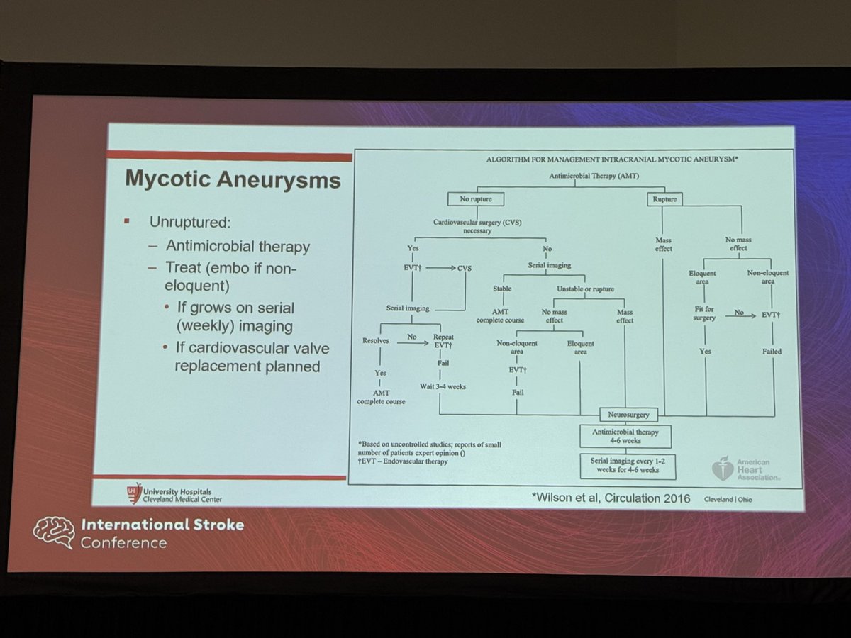 sleiman_jamal's tweet photo. Excellent Fireside Chats about Small Aneurysm Controversies by the experts at #ISC26. This session highlighted the importance of close follow up when managing this disease with uncertain prognosis and limited data. @AANmember 
@svinsociety @ShadiYaghi2 @StrokeAHA_ASA @AHAScience https://t.co/ostiUQfylN