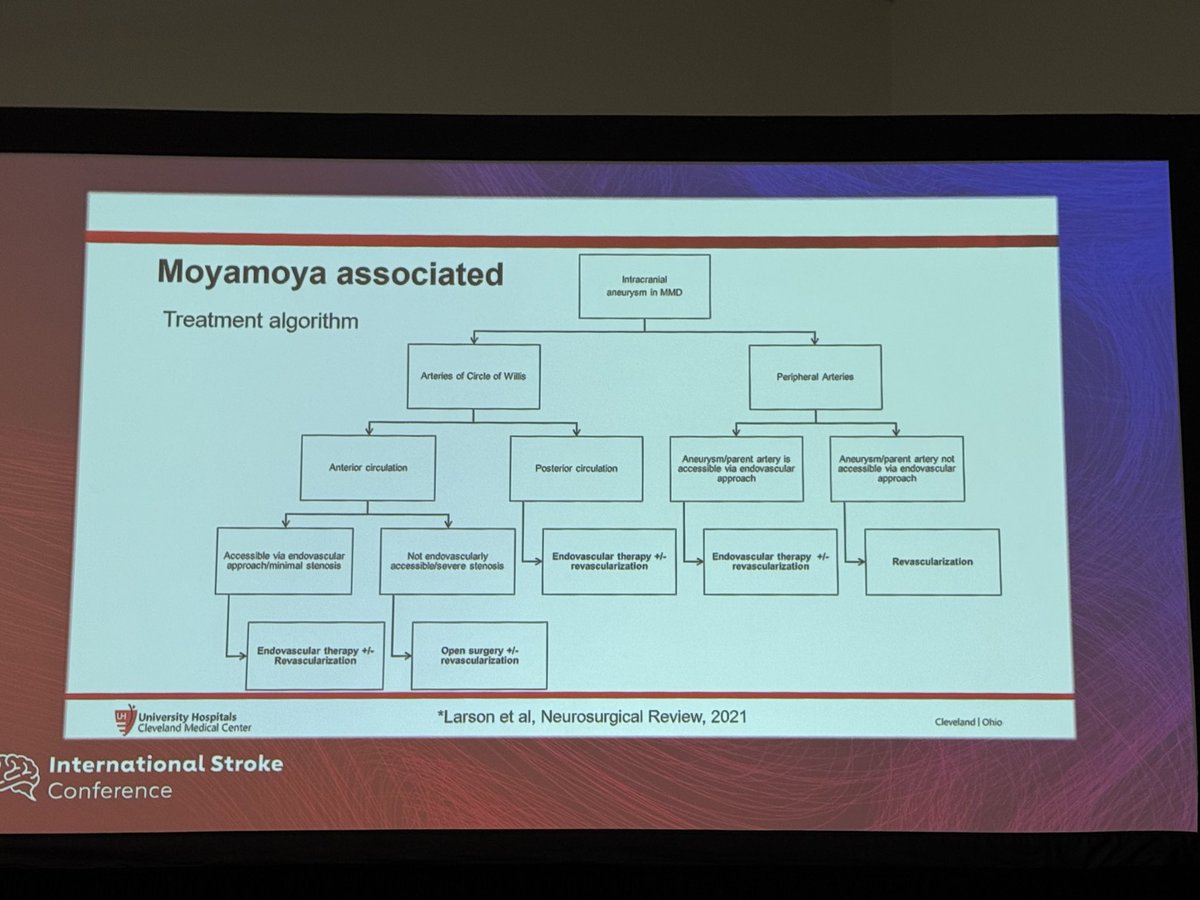 sleiman_jamal's tweet photo. Excellent Fireside Chats about Small Aneurysm Controversies by the experts at #ISC26. This session highlighted the importance of close follow up when managing this disease with uncertain prognosis and limited data. @AANmember 
@svinsociety @ShadiYaghi2 @StrokeAHA_ASA @AHAScience https://t.co/ostiUQfylN