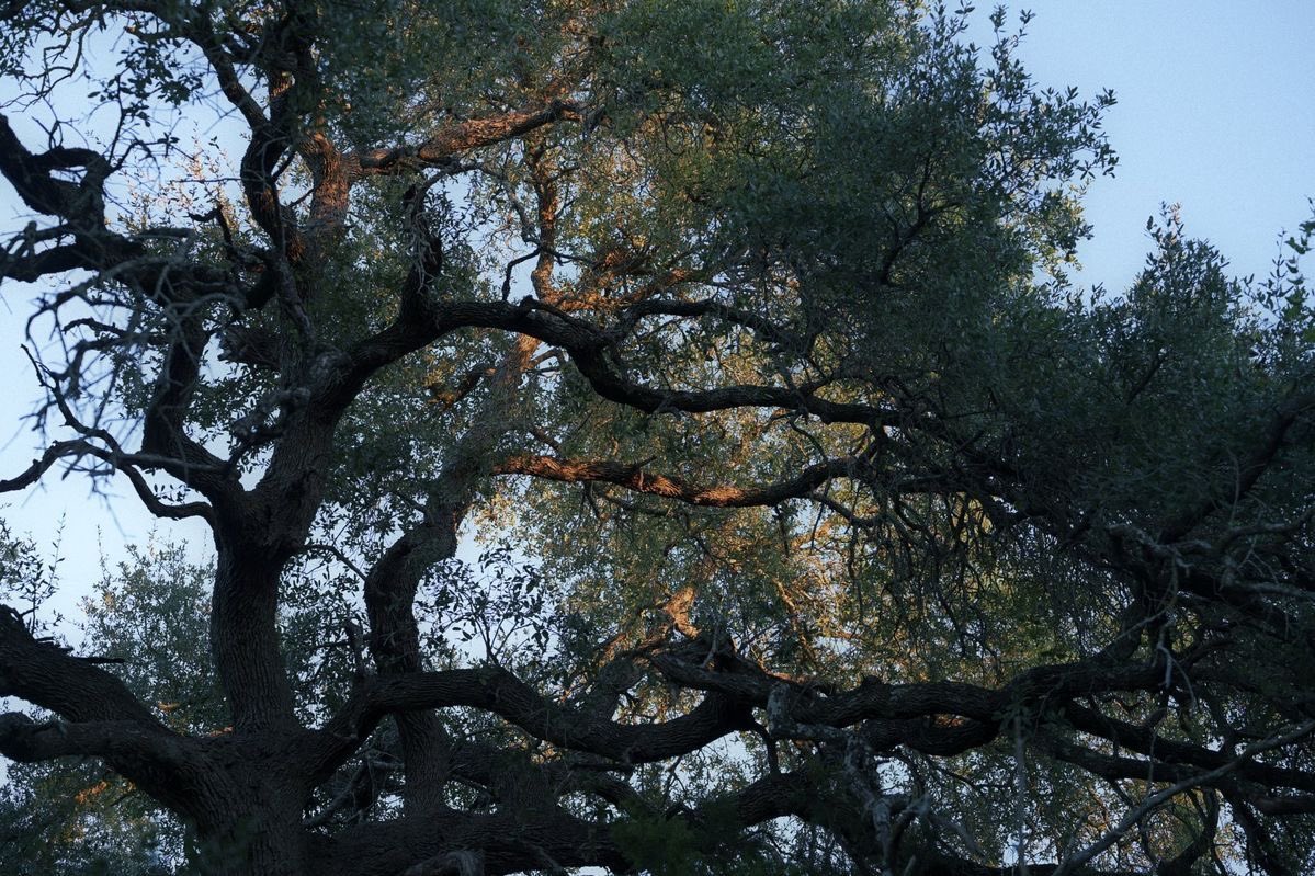 @lacrymarias (@lacrymarias) on Twitter photo 