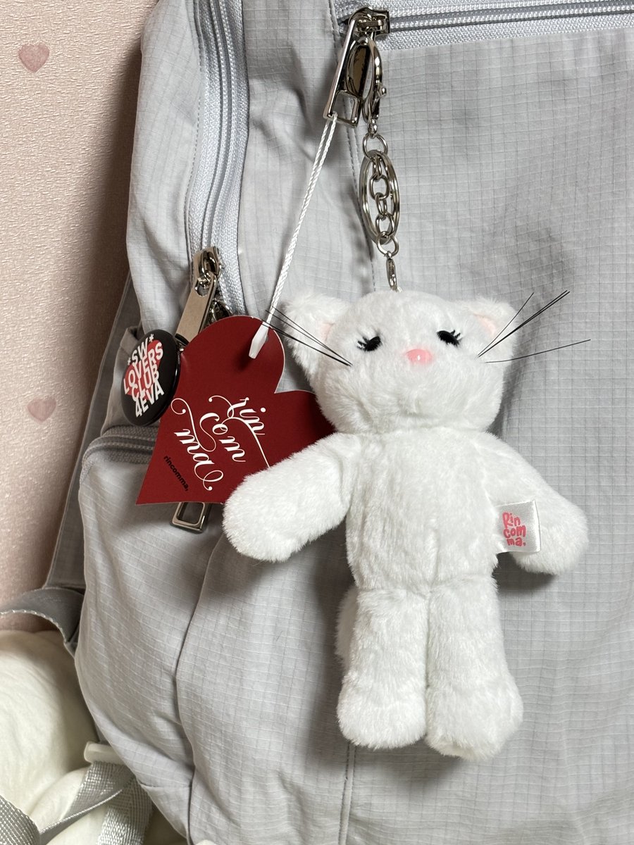 검정콩 tweet media