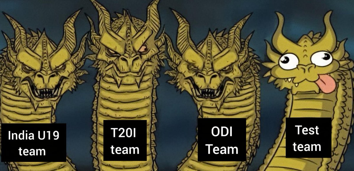 sagarcasm's tweet photo. Indian men's teams https://t.co/e8w73Bm2KG