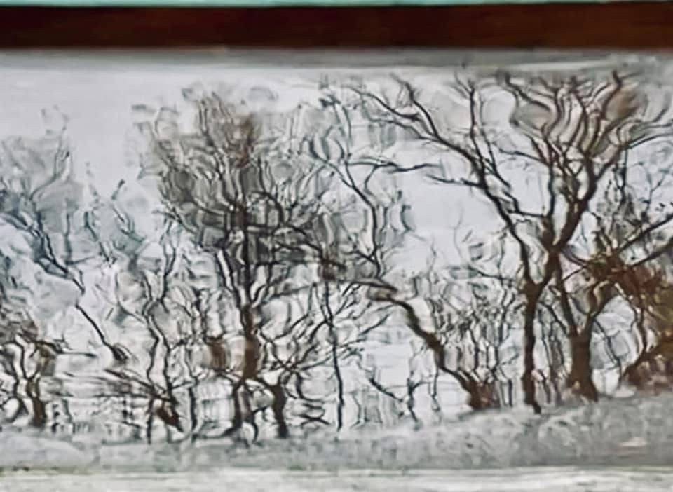 Donald_G_Redman's tweet image. Today’s Daily Picture Theme is ‘Undulating'
Reflection of naked trees undulating in a windswept puddle.