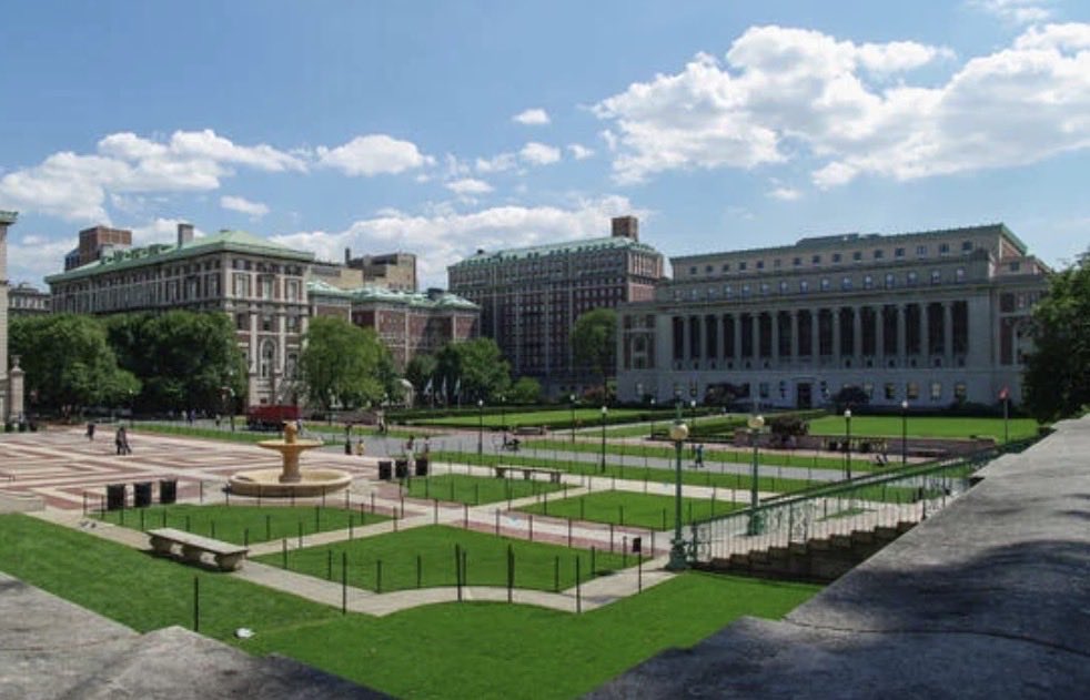 Julius Chapiro tweet media