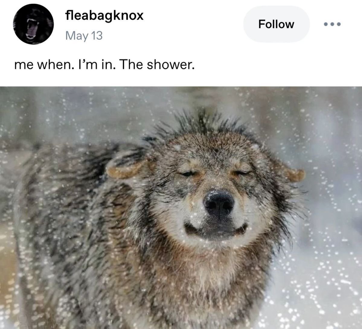 type of shit james would send to remus every morning