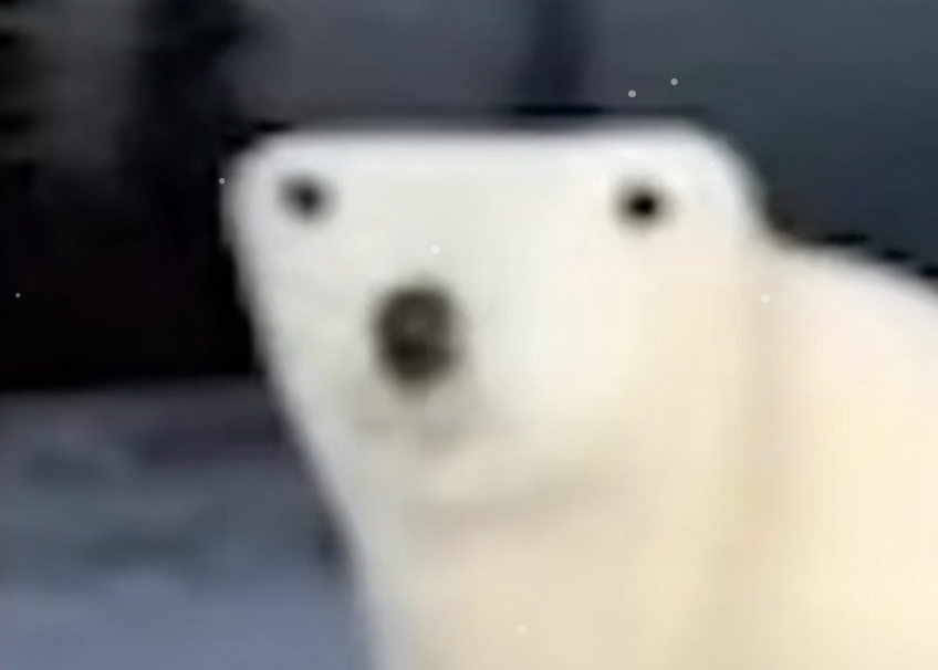 Crypto influencers right now:

ber