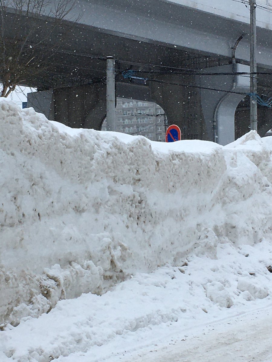 siwoo_fromm's tweet image. 💌🐰260206
[18:03 jst]
Wow, it’s snowing so much in Sapporo
There’s a pile of snow on the side of the road, as big as a car
[📸x3]
It’s ridiculous 
A city I'd like to visit on a trip someday...