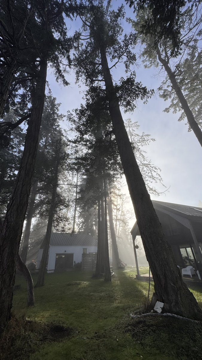 Scott Martin | Groundswell Origins™ tweet media