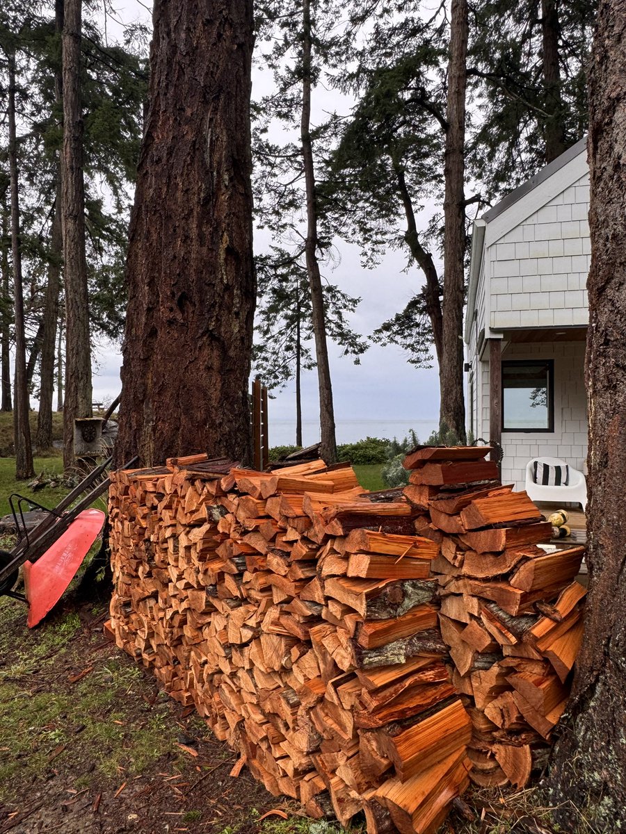 Scott Martin | Groundswell Origins™ tweet media