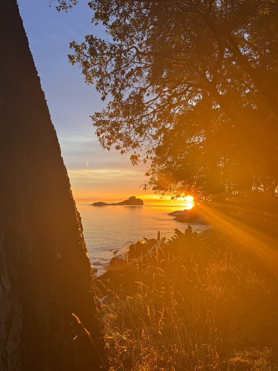 Scott Martin | Groundswell Origins™ tweet media