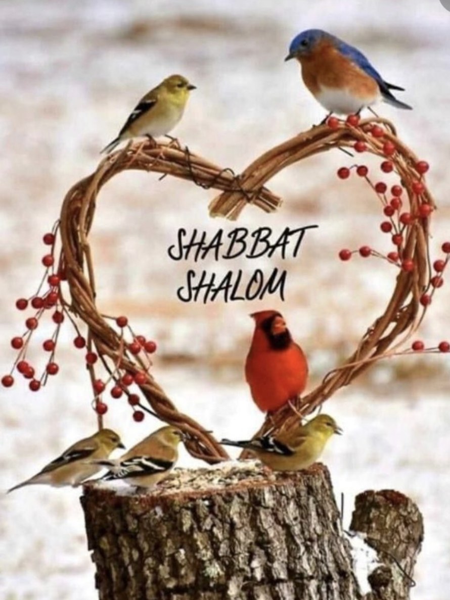 Alpha Cash Finanz (@alphacashfinanz) on Twitter photo 