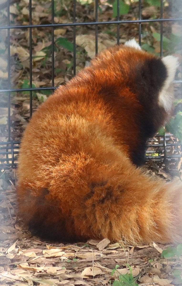 mimi (@mimi0709r) / Posts / X