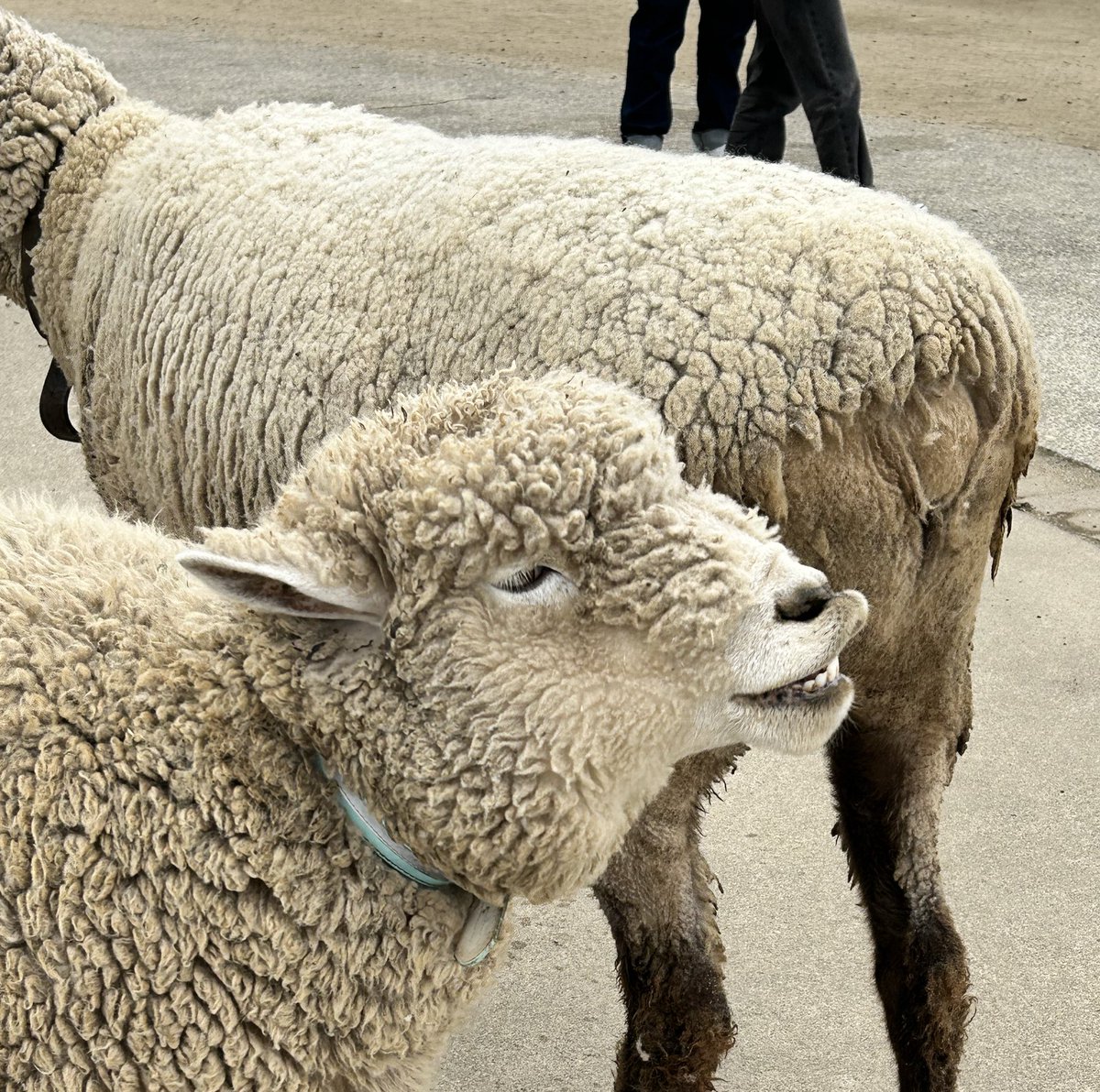 ゆりっぺ (@kanon0913yk) / Posts / X