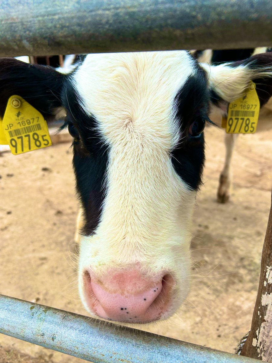 ゆりっぺ (@kanon0913yk) / Posts / X