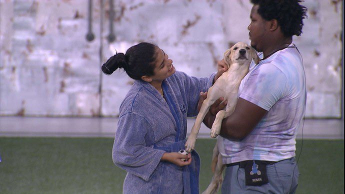 Danilo Sanches tweet media