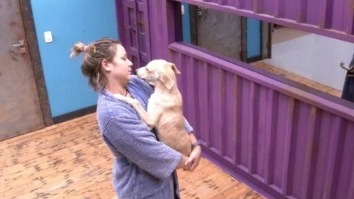 Danilo Sanches tweet media