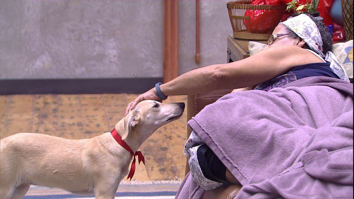 Danilo Sanches tweet media