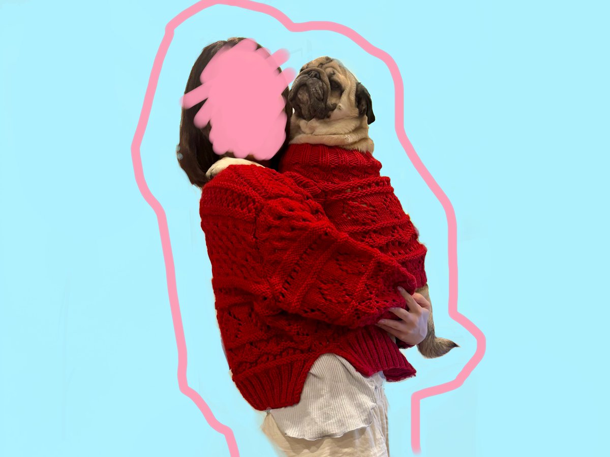 zangithepug0420's tweet photo. 絵を描き編み物をし仲良く暮らしています🦭
ざんとのお揃いニット編めました🧶 https://t.co/pVkq8XrXt0