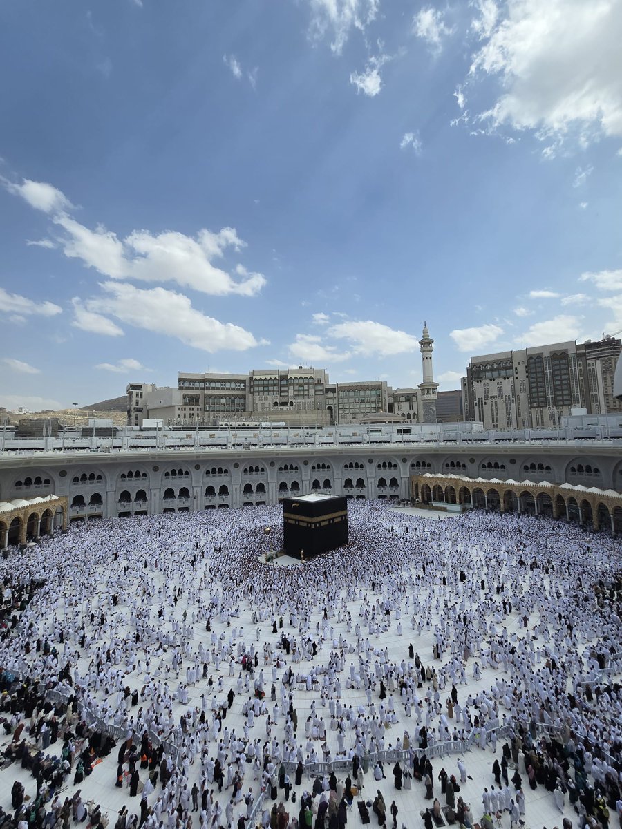 Mezokashi tweet media