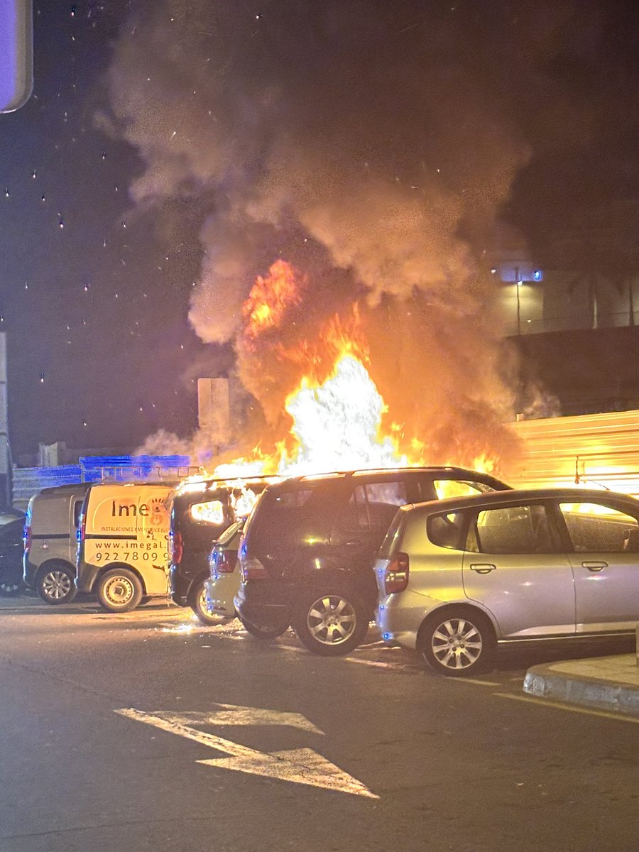 MaLuMonDi tweet media