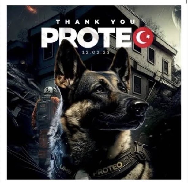 AYKANATESN's tweet photo. Kurtarma çalışmalarında hayatını kaybeden dost,seni de unutmadık 🌹#prote https://t.co/AhuOHNaAJU