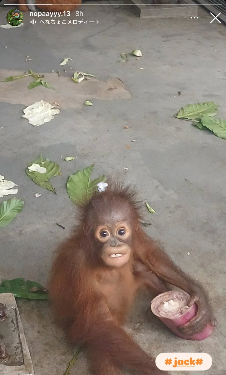 I AM IN TEARSJFBEKFBD