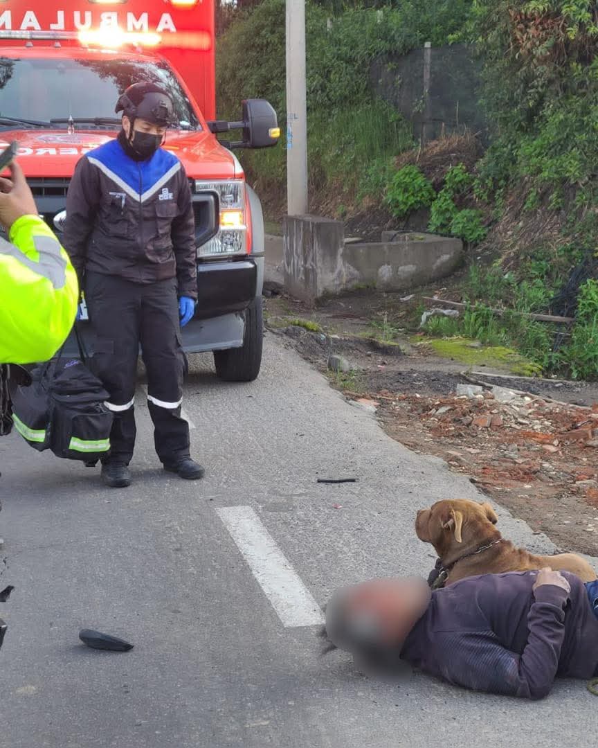 #Pichincha
Cayambe, Una persona fue atropellada en la vía E35, al momento de la llegada de los bomberos se encontraron que el afectado estaba siendo resguardado por sus 2 perritos.

Afortunadamente las mascotas eran amigables y pudieron trasladar al herido a una casa de salud