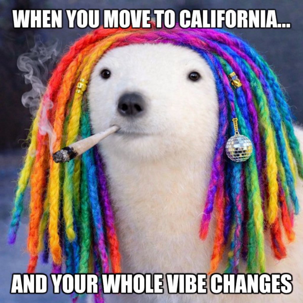 <a href="/jackduval/"></a> $ber
6oubxzG8U79GFgGbGWw9H5NkEDvf7mr6bPHy1eQ3RoQE