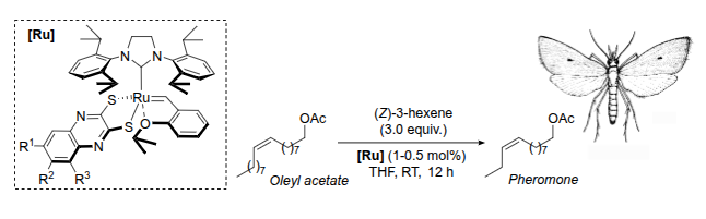 Karol Grela tweet media