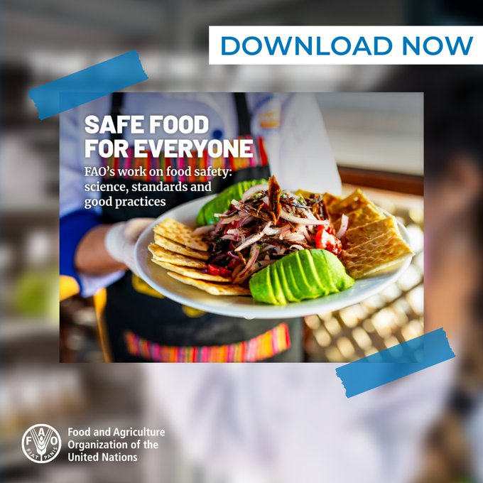 FAOWHOCodex's tweet image. 📚 | #WeekendReading 4⃣ U ❗️

👉 "Safe food for everyone – FAO’s work on food safety: science, standards and good practices" provides a complete overview of @FAO work on food safety.  

📲➡️ bit.ly/3K3ijS3 

#FoodSafety | #Codex