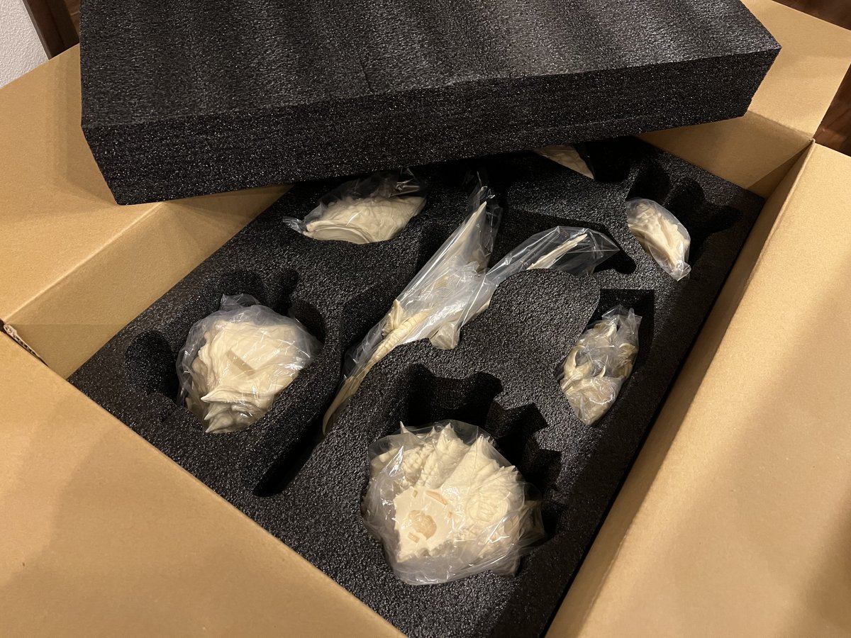 完全生命体デストロイア 【無塗装ガレージキット】 価格￥70.000 全高
