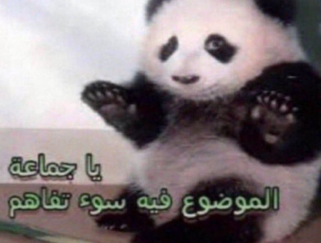 الباندا كل شوي بحلقة جوجوتسو كايسن :