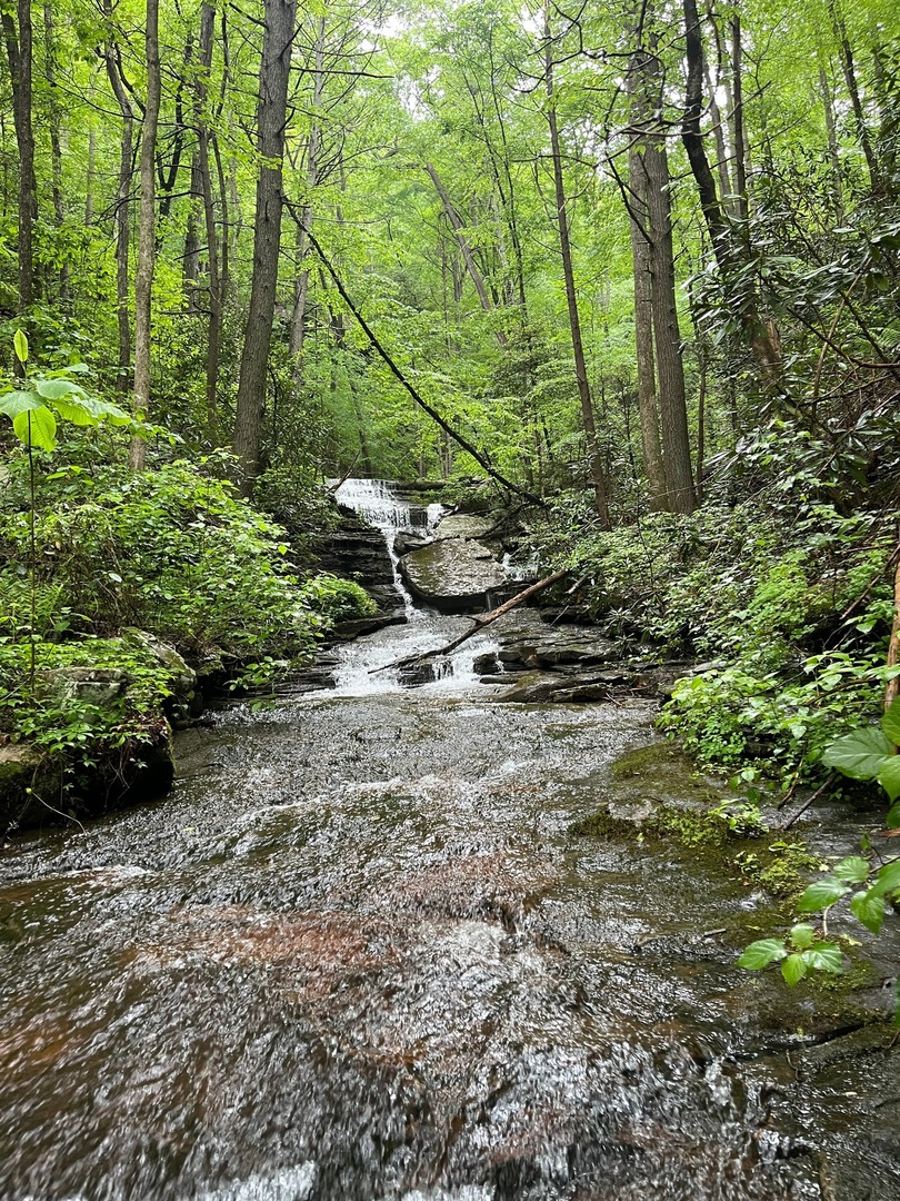TennGreen Land Conservancy tweet media