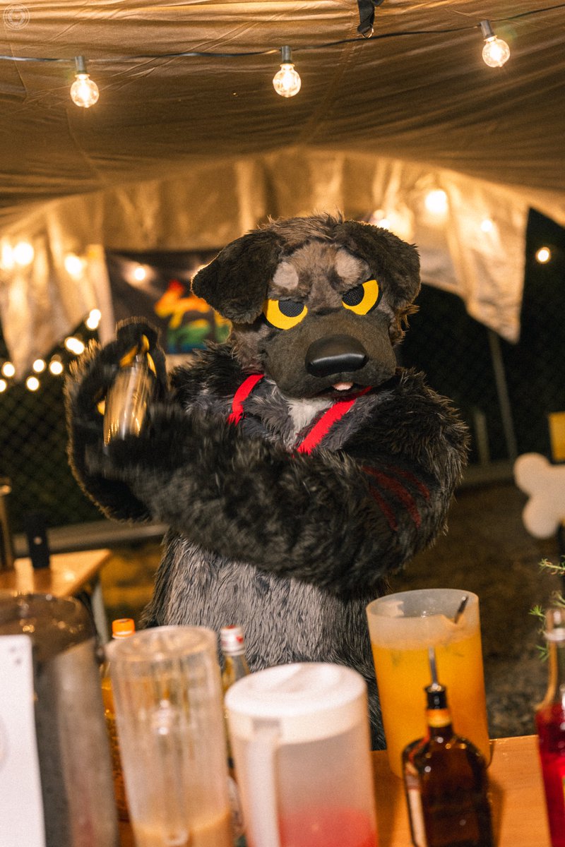 Badogbagel's tweet photo. wanna get drunk? no problem~ 🐶👋🍹

📸@BrutusChu 
#FursuitFriday https://t.co/Ryhkchx34F