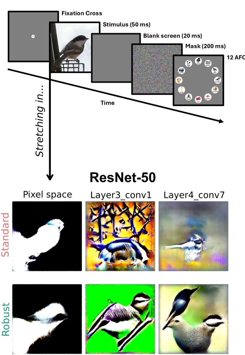 Lorenzo Tausani tweet media
