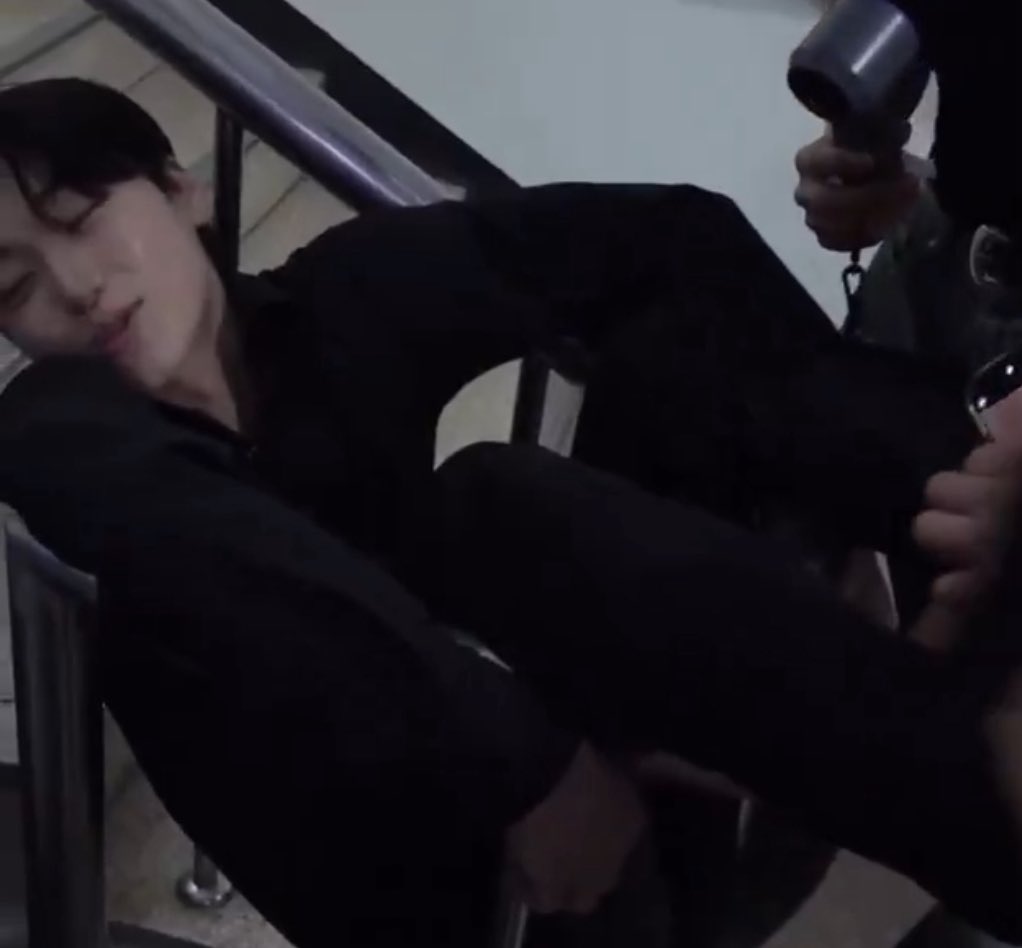 พึดติกำแมว