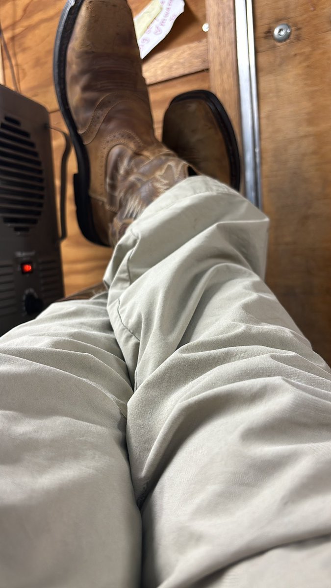 6’2 125IQ Aryan American tweet media