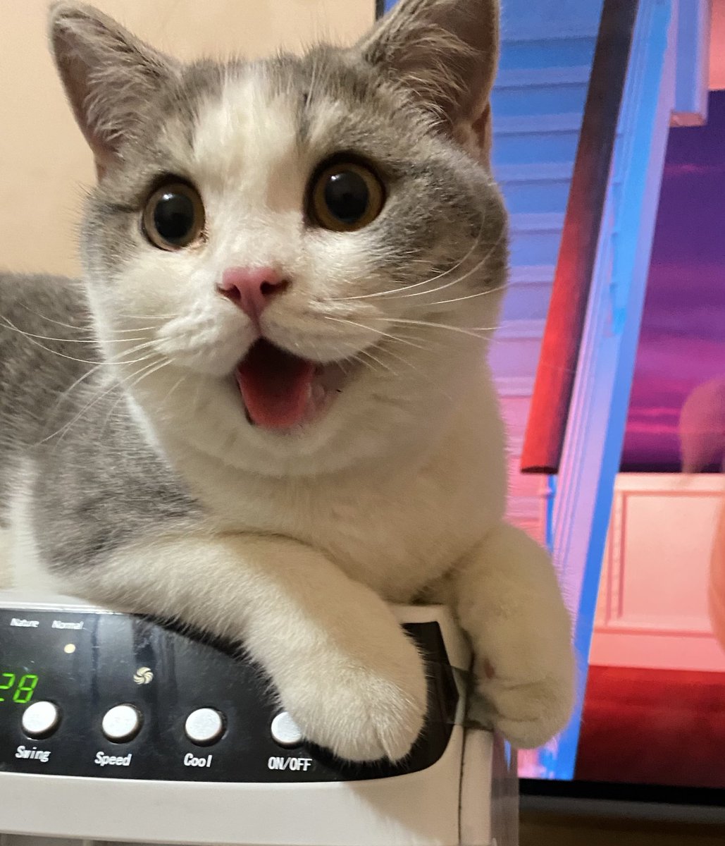 bayi gembul sedang rewel 

ga enak kayaknya badannya abis vaksin 😔