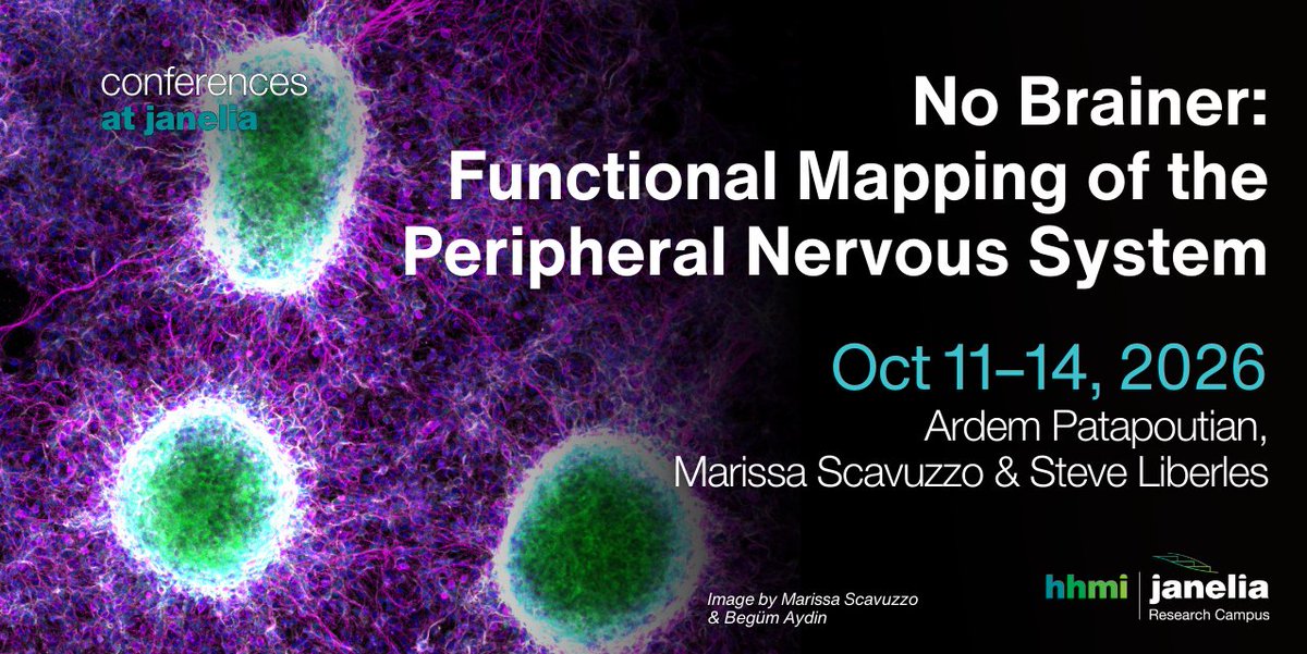 janeliaconf's tweet photo. 📢 Apply by May 14 to explore peripheral nervous system function across somatic + autonomic + enteric divisions, with a focus on new methods + emerging technologies. #PNS 

🛏️ Meals &amp; lodging covered

Apply ➡️ https://t.co/sGa6o9USxz

@HHMIScience @HHMIJanelia @ardemp @SLiberles https://t.co/MLOzOTZJ53