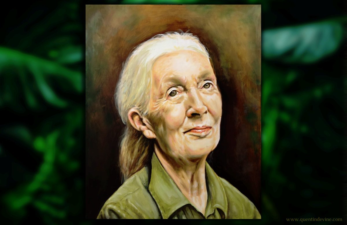 Quentin Devine 💙☘️ tweet media