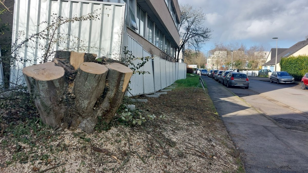 CollectifNanssa's tweet photo. #171ruedevern

L'écologie à la rennaise https://t.co/ZnDfmq00an