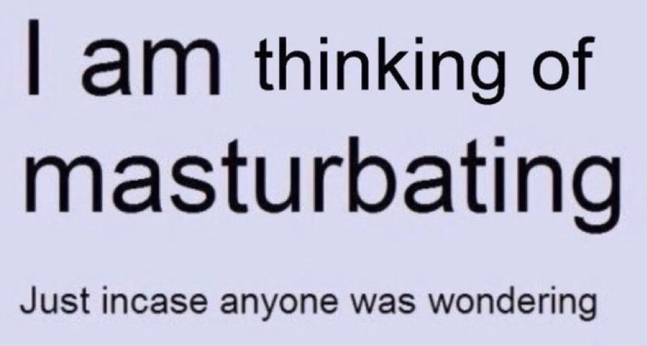 ThatLostFox's tweet image. :3